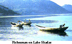 Fishermen on the Skadar Lake